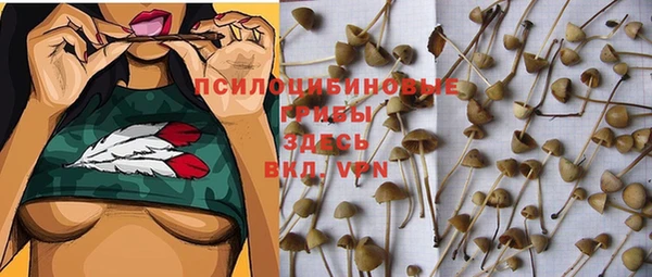 молекула духа Бородино