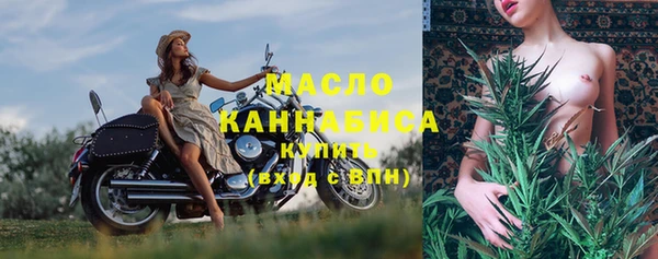 молекула духа Бородино