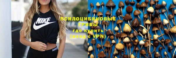молекула духа Бородино