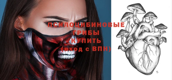 молекула духа Бородино